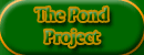 Ongoing Pond Project