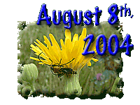 August 8th 2004