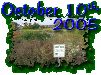 October 10th 2005