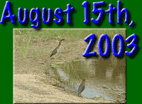 August 15th, 2003