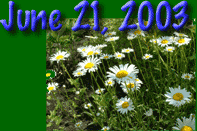 June 21st 2003