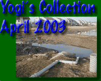 Yogi's Photos April 2003