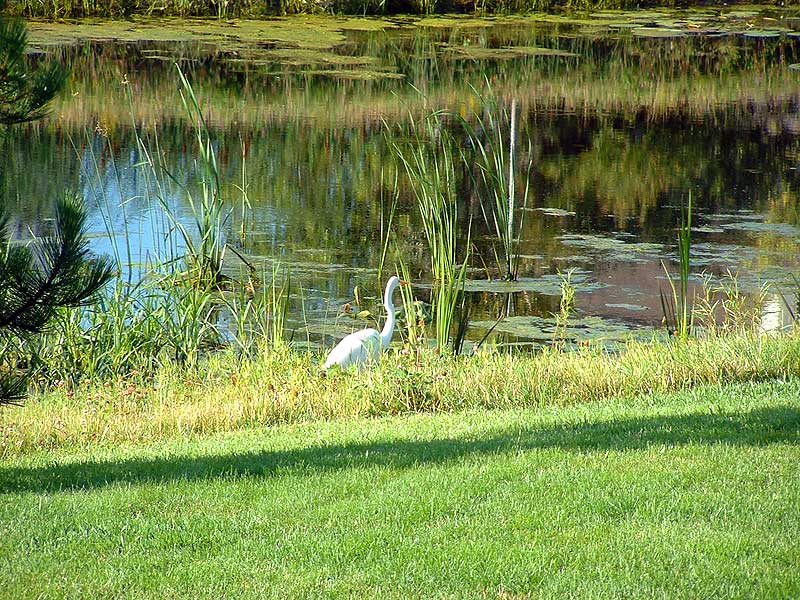023